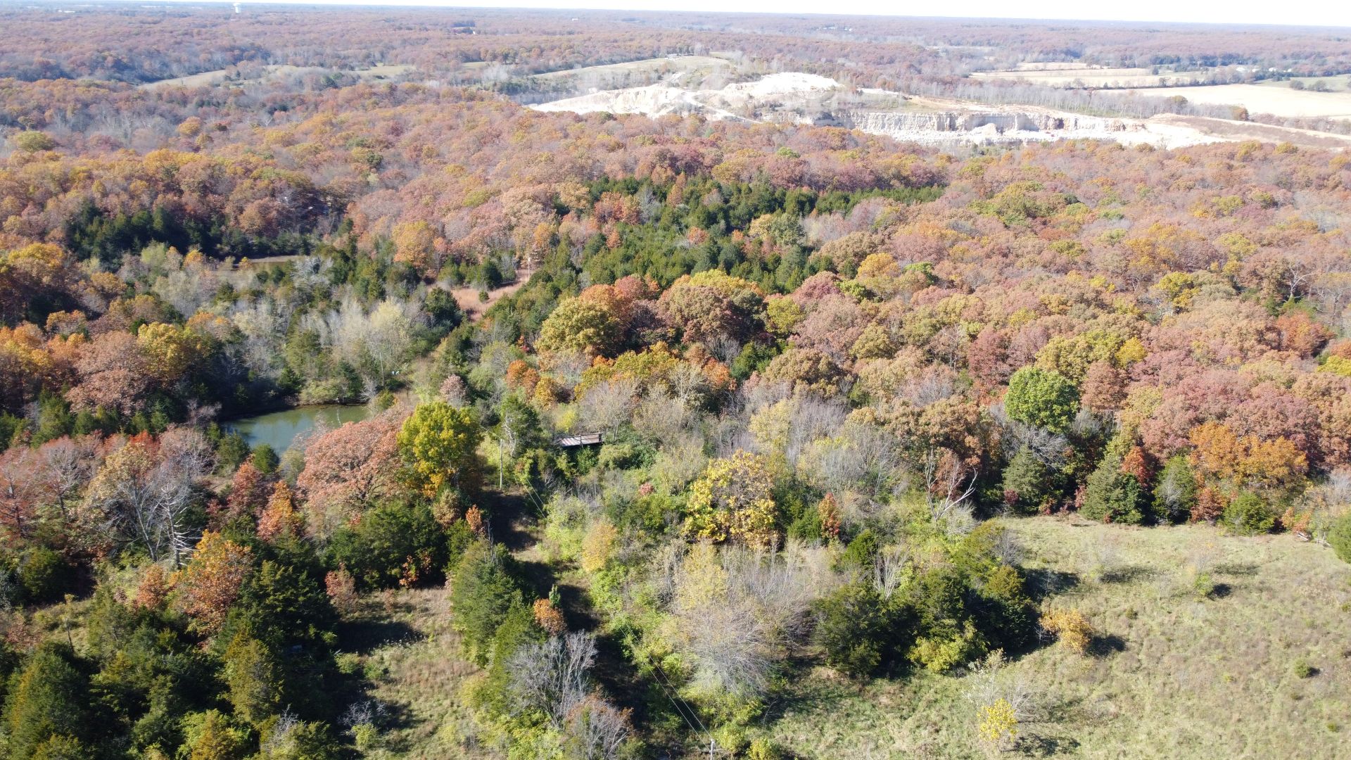 Fall foliage over Missouri land