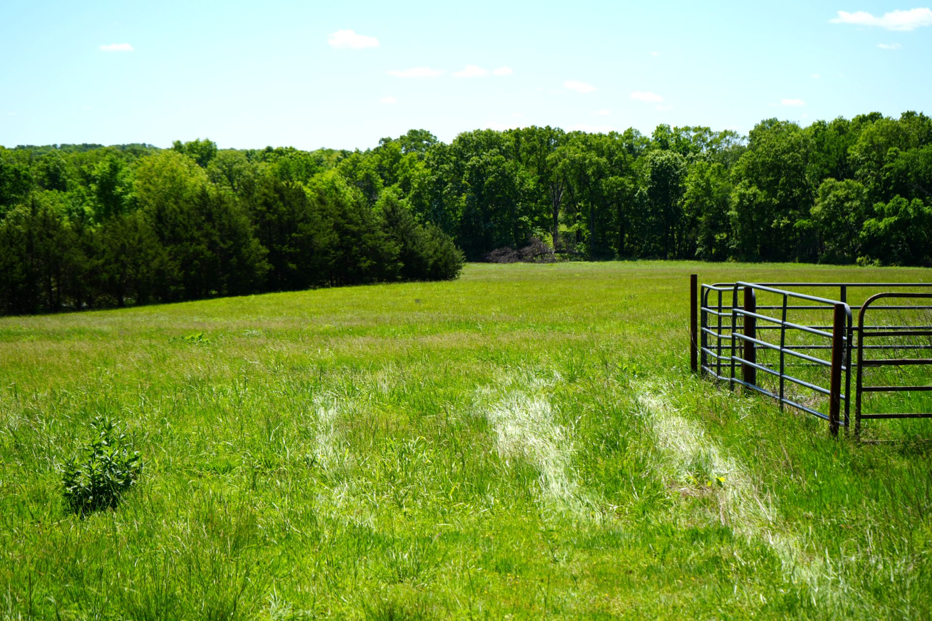 Missouri pasture and fence line