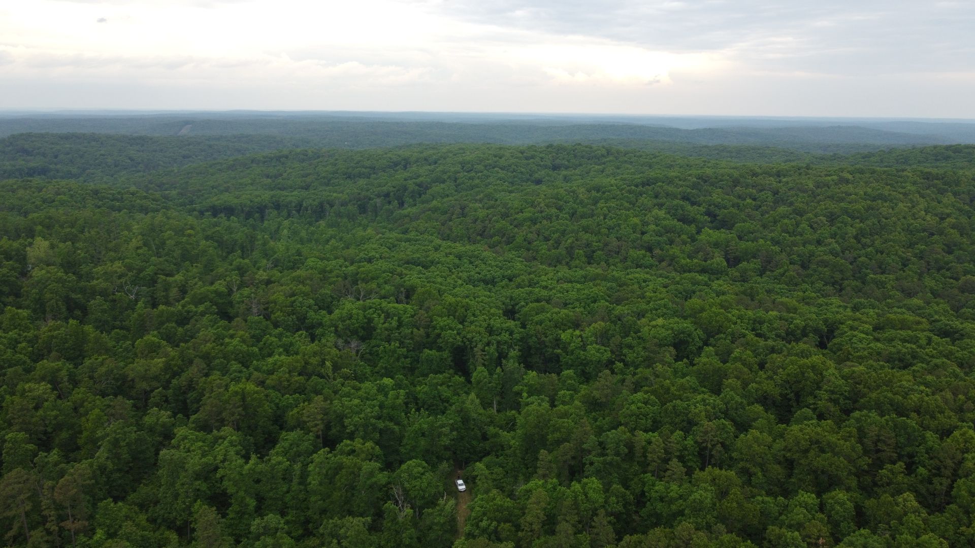 Aerial view of Missouri forest